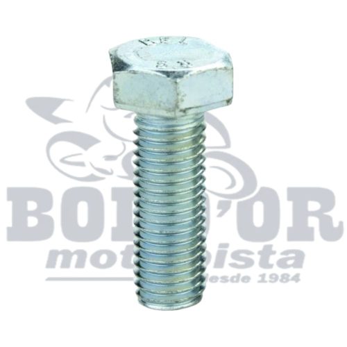 Parafuso Sextavado com Flange 6×10 cab10 pinhao tit125 -08 9606